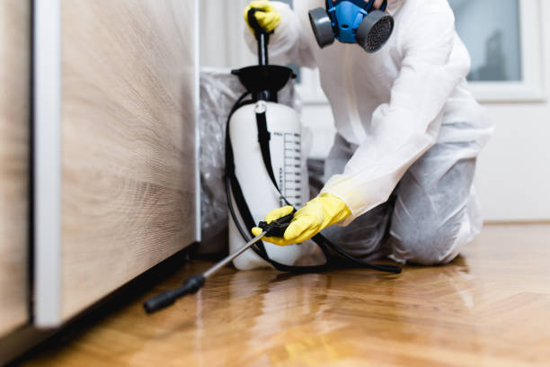 Professional Pest Control in Honeoye Falls, NY