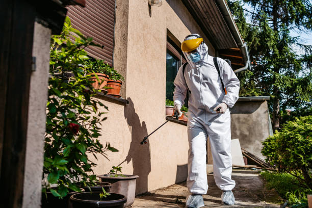 Best Exterminator Services  in Honeoye Falls, NY