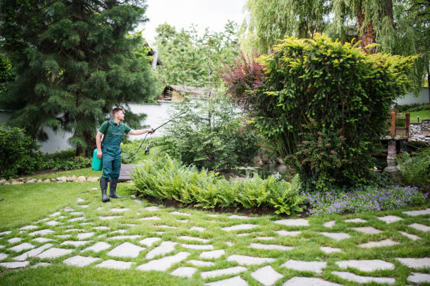 Trusted Honeoye Falls, NY Pest Control Experts