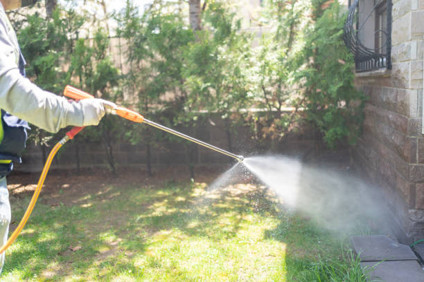 Best Pest Removal Services  in Honeoye Falls, NY