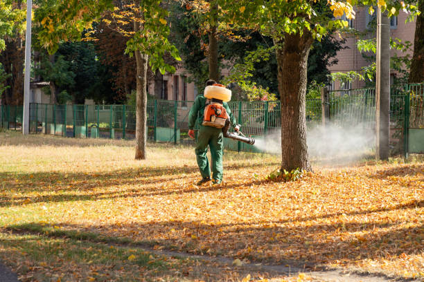 Best Pest Control for Restaurants  in Honeoye Falls, NY