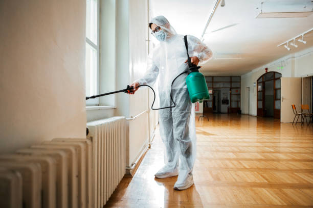 Best Local Pest Control Services  in Honeoye Falls, NY