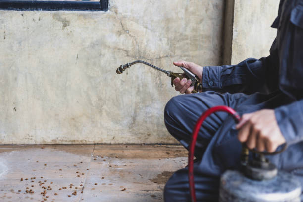 Pest Control Cost in Honeoye Falls, NY